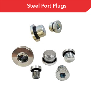 Section 10 - Steel Plug Ports